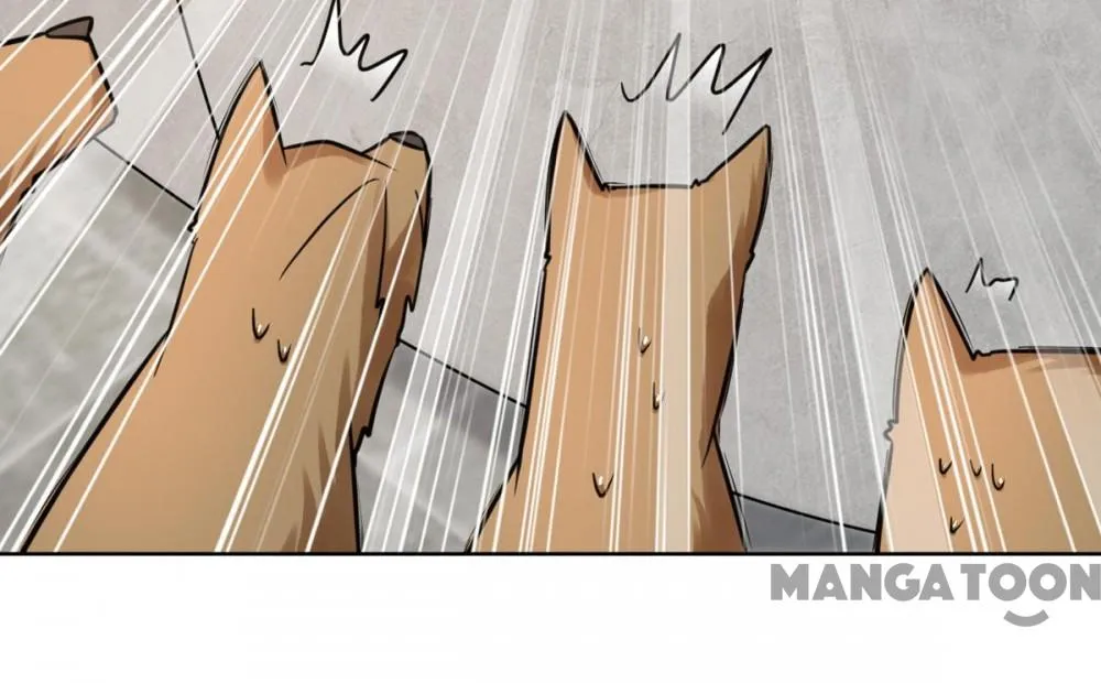 Page 17 of Chapter 33