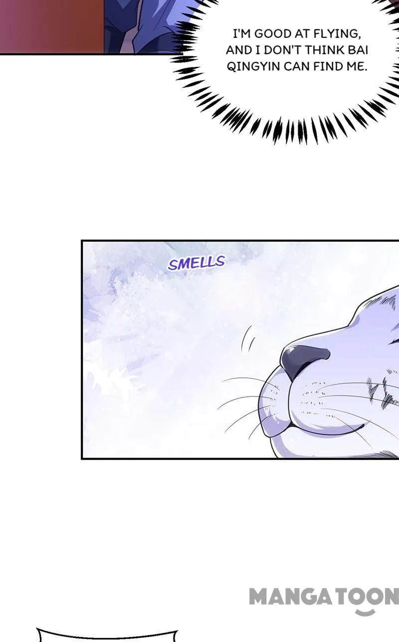 Page 4 of Chapter 81