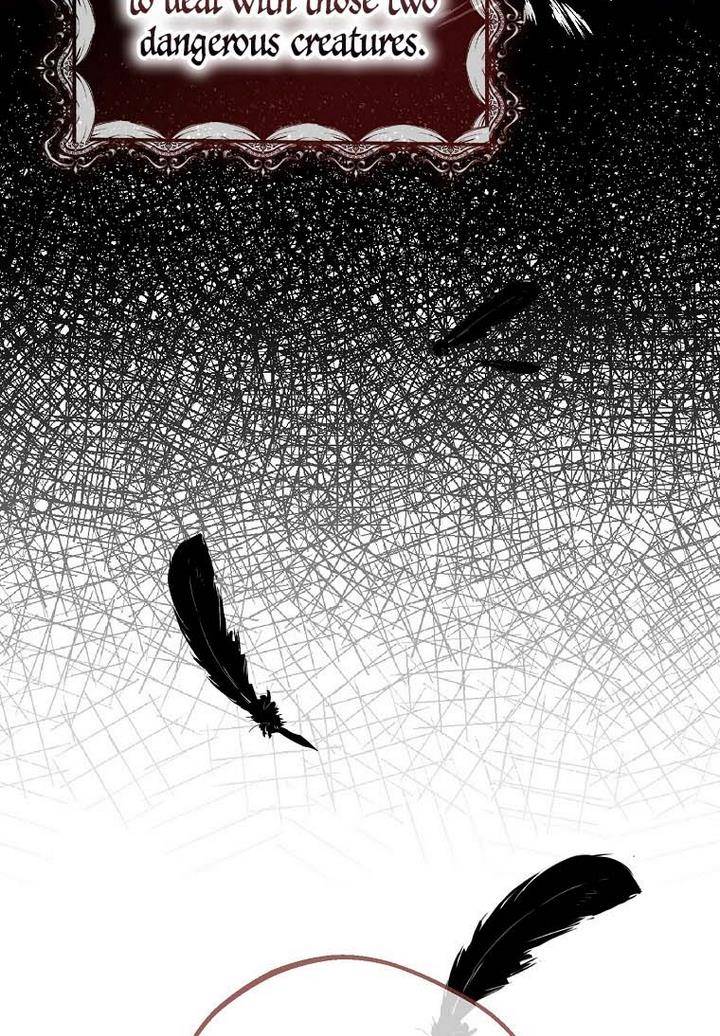 Page 13 of Chapter 19