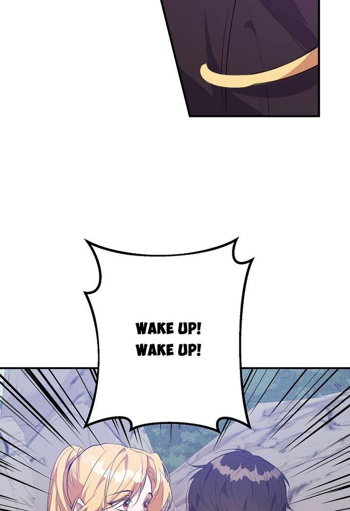 Page 17 of Chapter 20