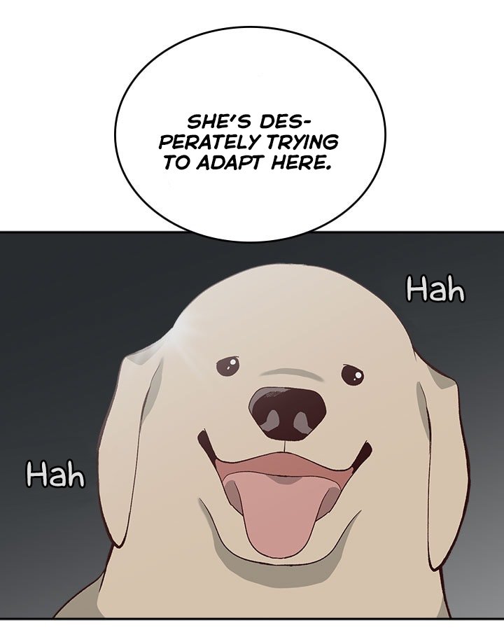 Page 39 of Chapter 15