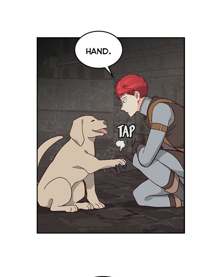 Page 40 of Chapter 15