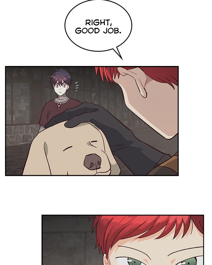 Page 41 of Chapter 15