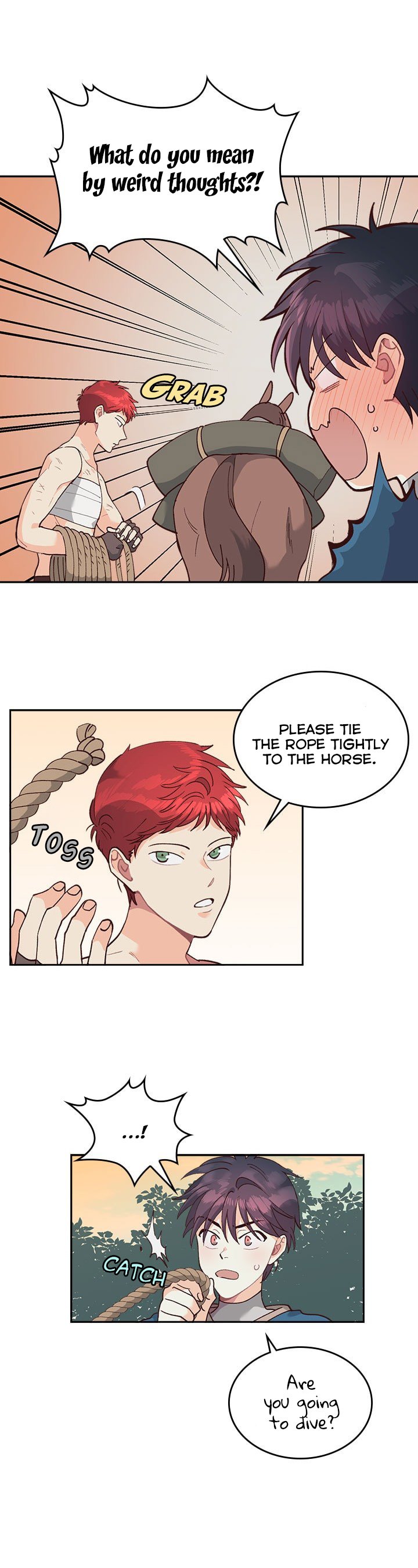 Page 17 of Chapter 20
