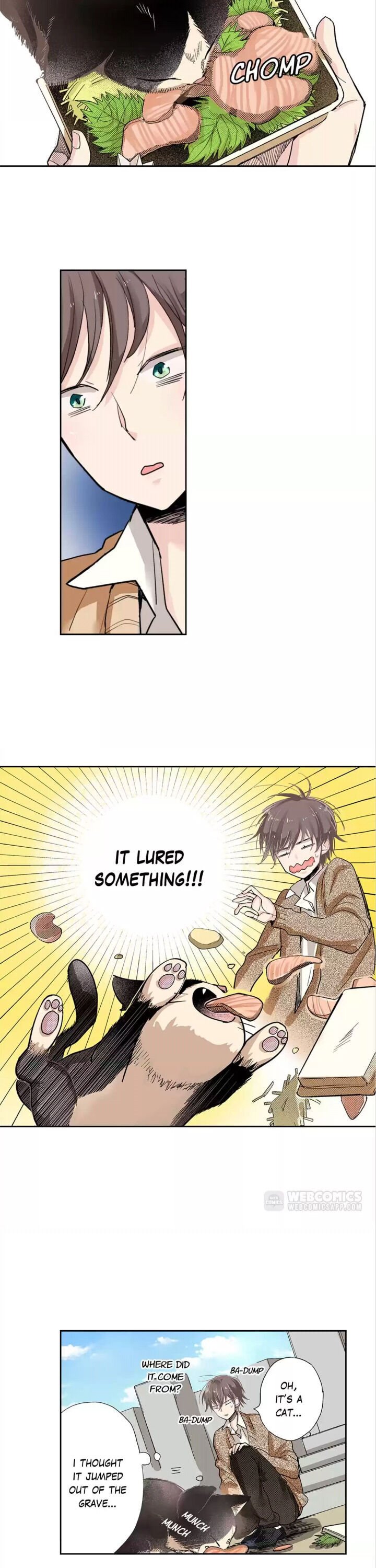 Page 8 of Chapter 1