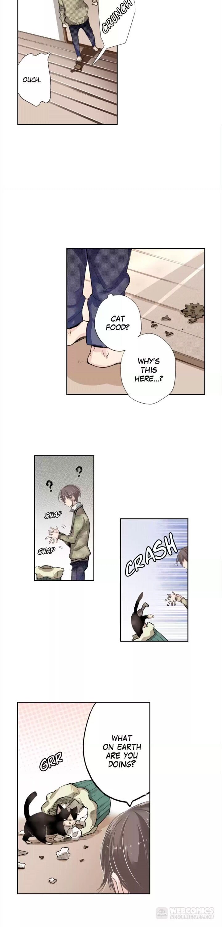 Page 17 of Chapter 1