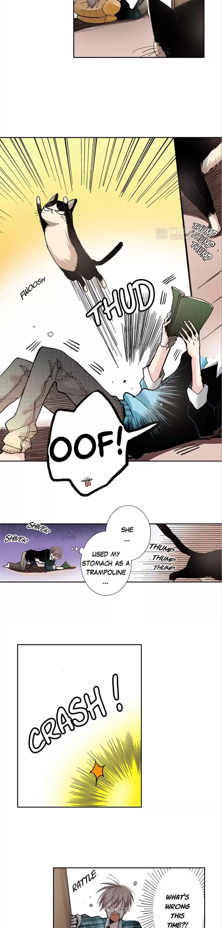 Page 4 of Chapter 10