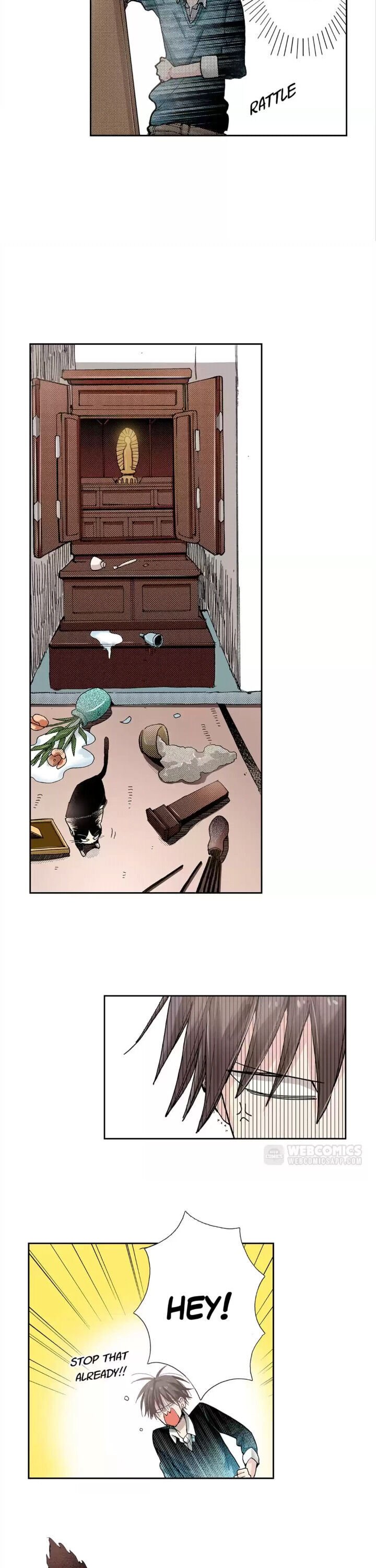 Page 5 of Chapter 10