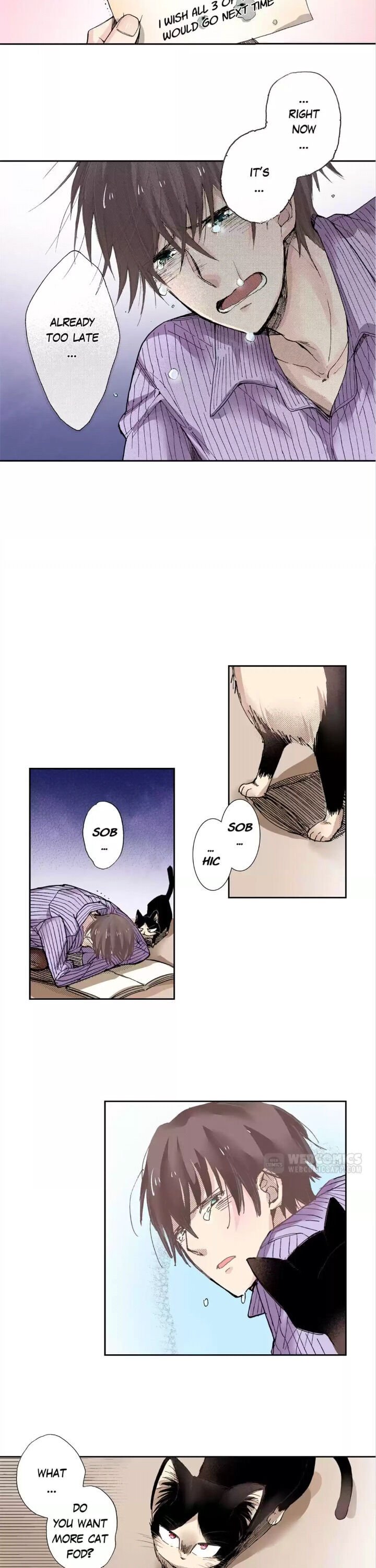 Page 5 of Chapter 11