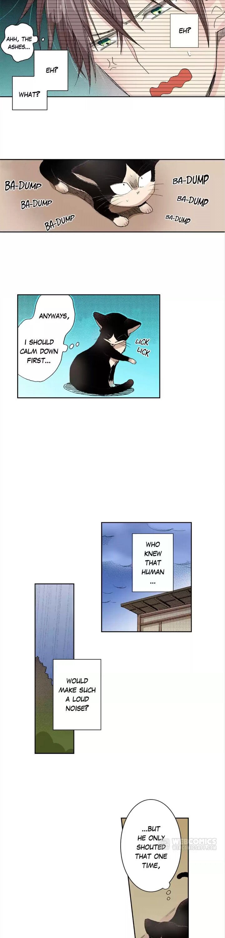 Page 5 of Chapter 12