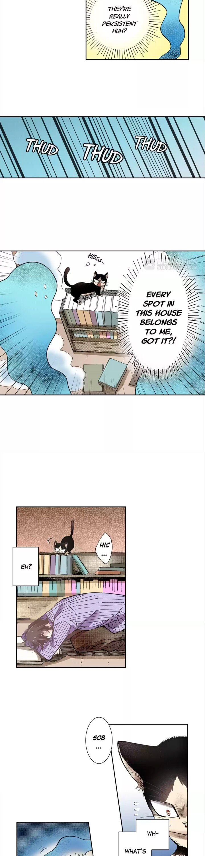 Page 7 of Chapter 12