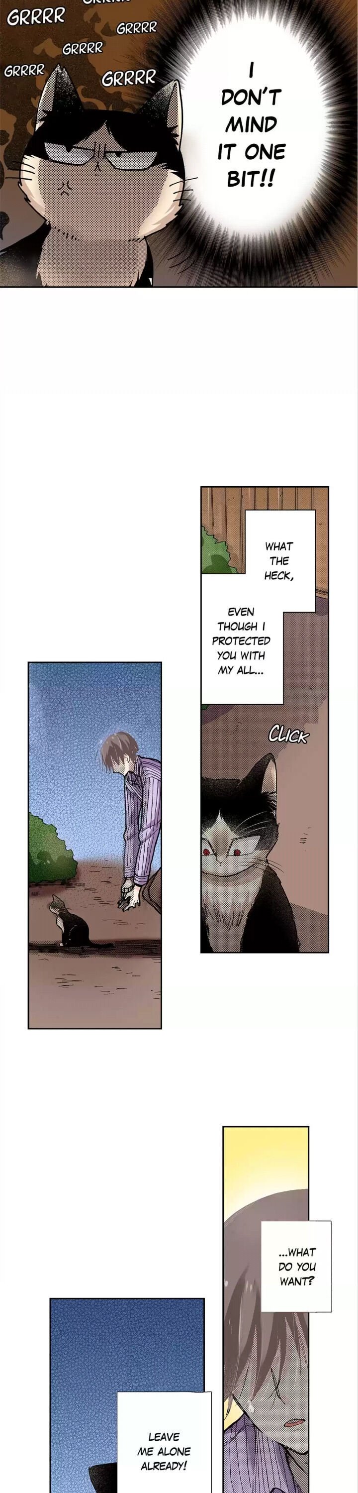 Page 3 of Chapter 15
