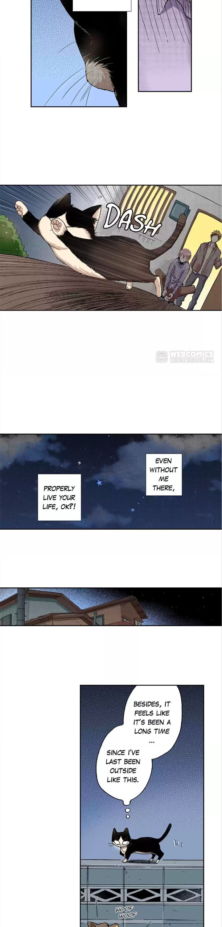 Page 4 of Chapter 15