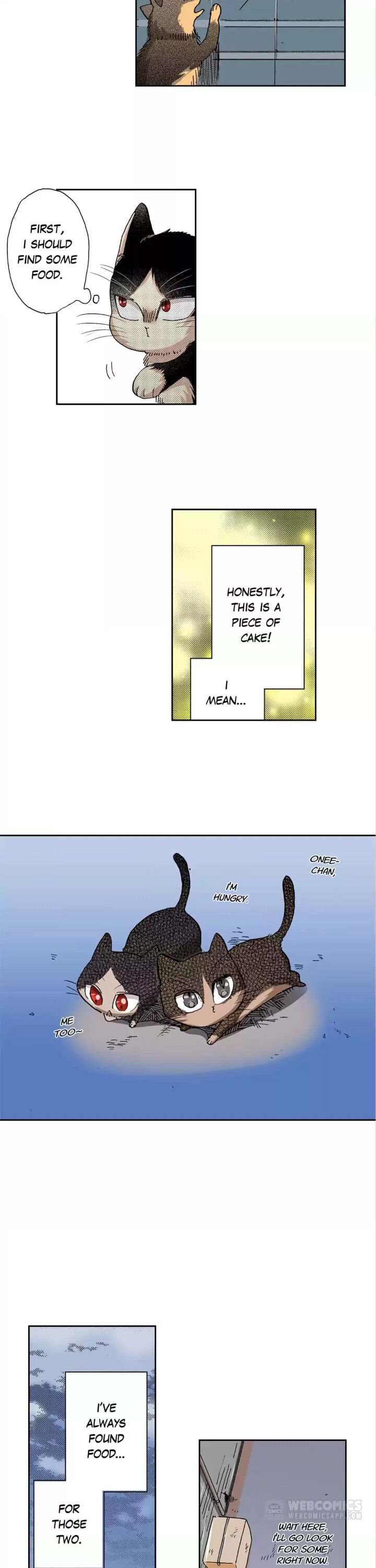 Page 5 of Chapter 15
