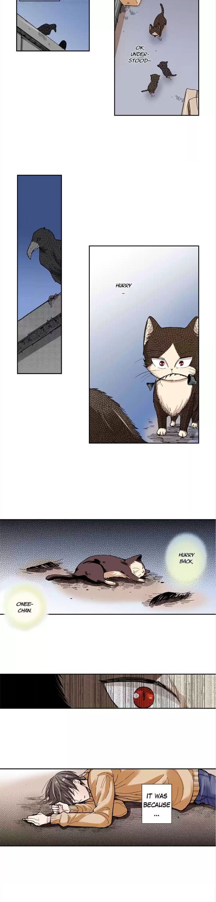 Page 6 of Chapter 15