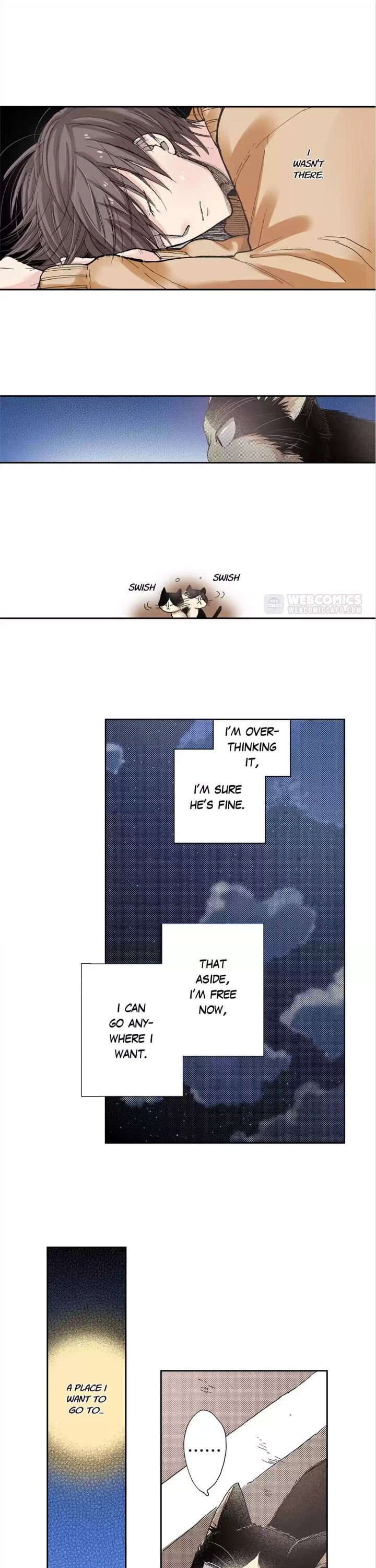 Page 7 of Chapter 15