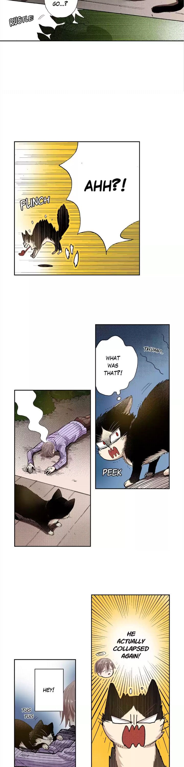 Page 9 of Chapter 15