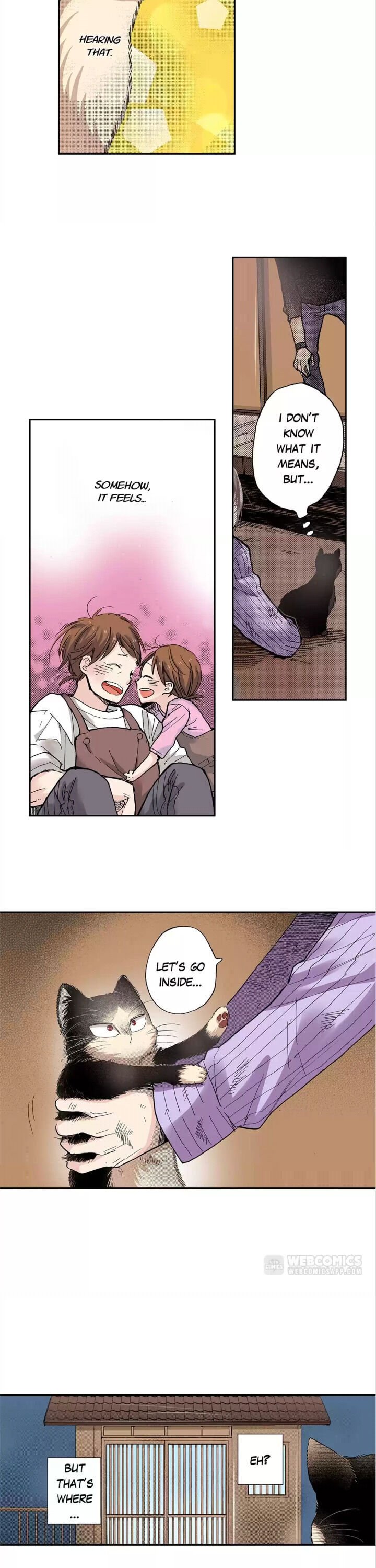 Page 11 of Chapter 15