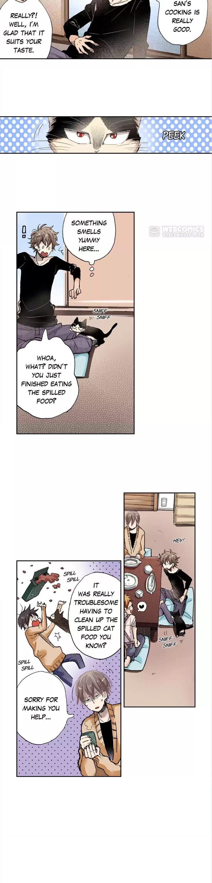 Page 13 of Chapter 15