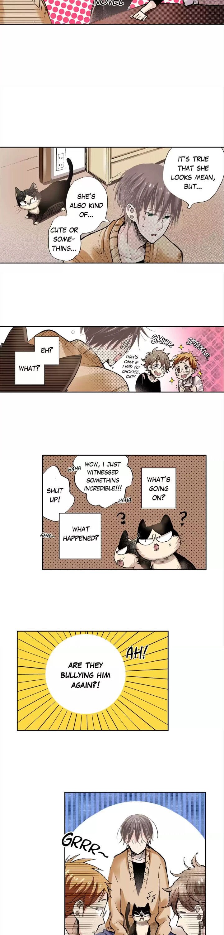 Page 15 of Chapter 15