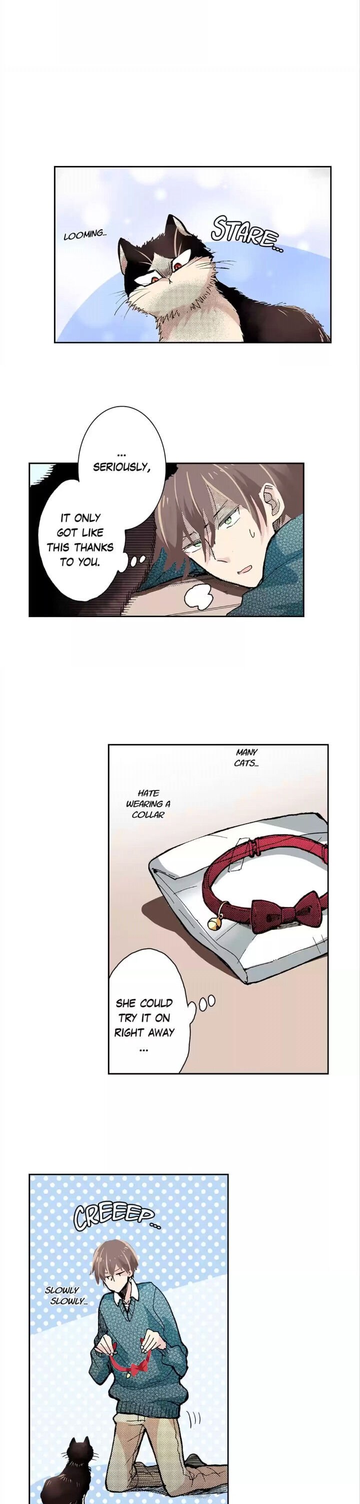 Page 3 of Chapter 17