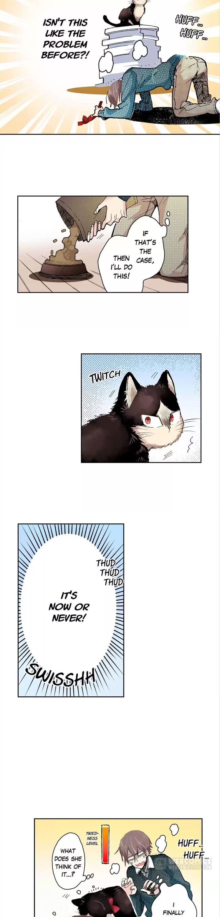 Page 5 of Chapter 17