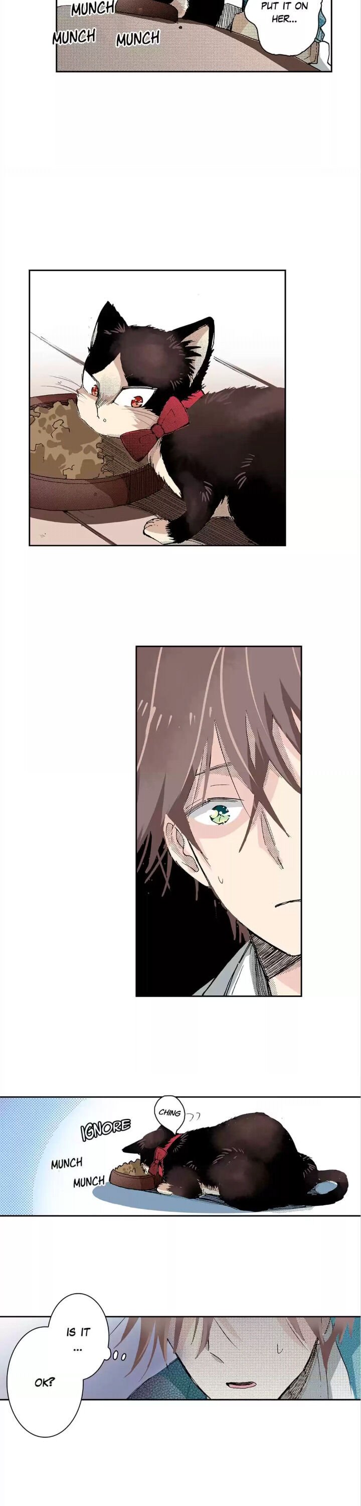 Page 6 of Chapter 17