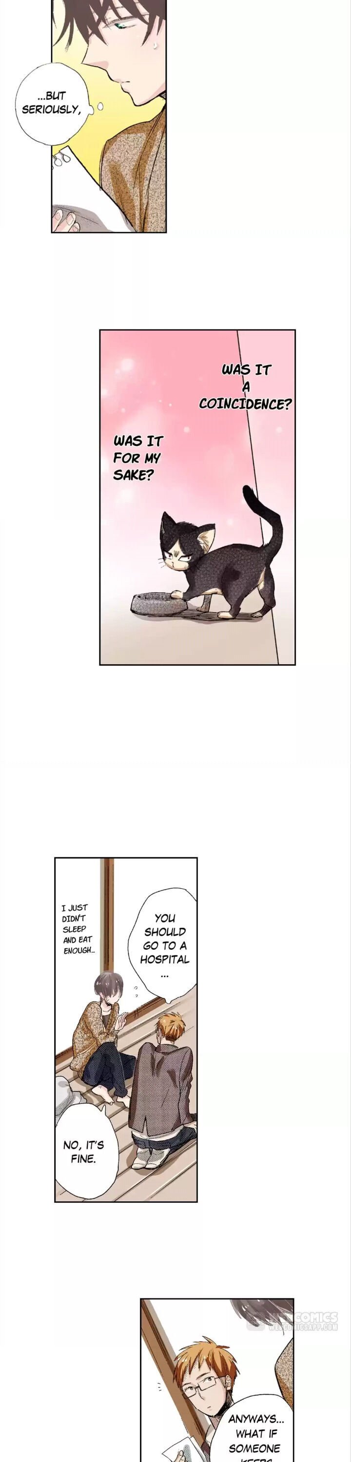Page 11 of Chapter 2