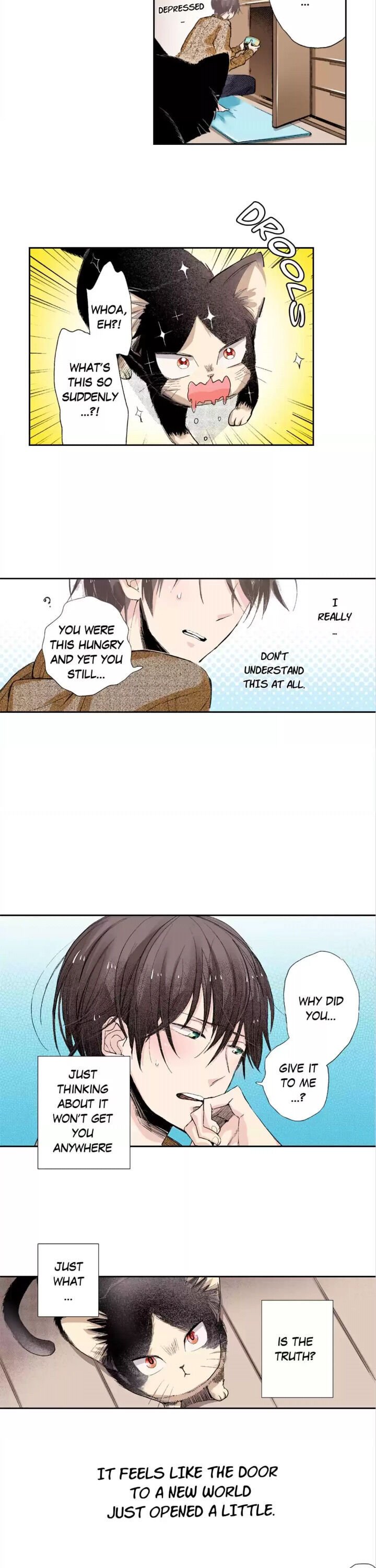 Page 15 of Chapter 2