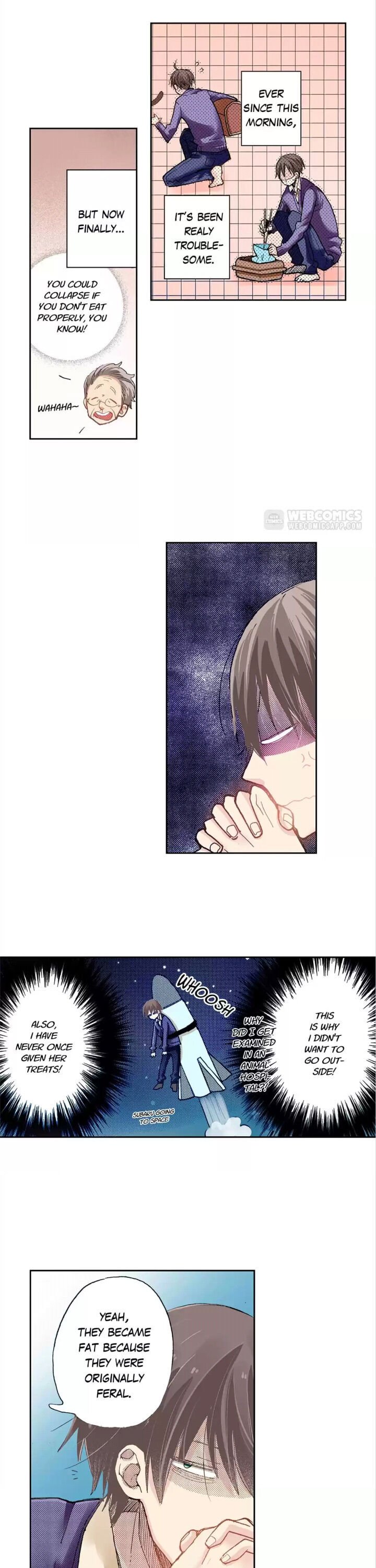 Page 4 of Chapter 20