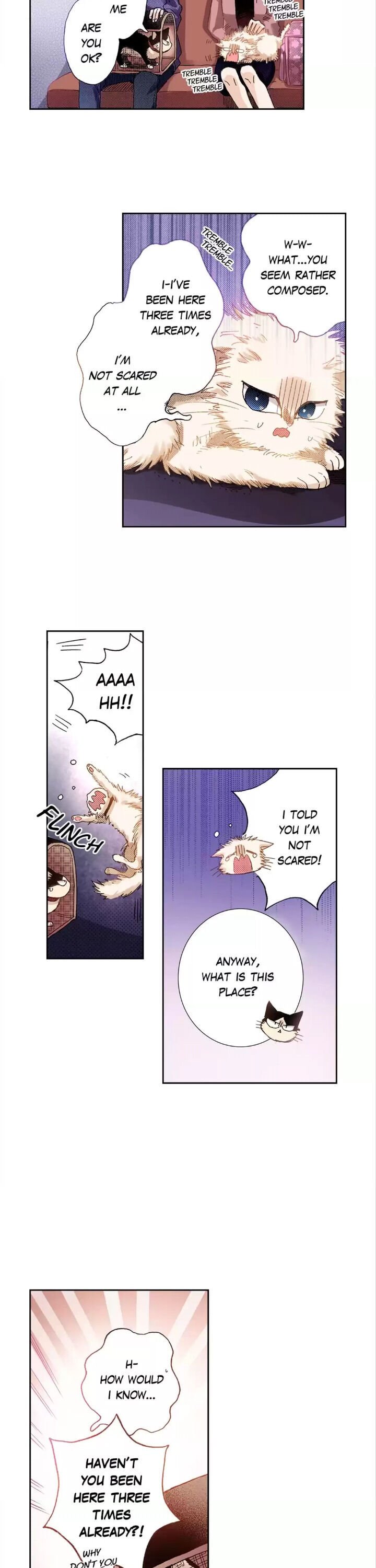 Page 3 of Chapter 22
