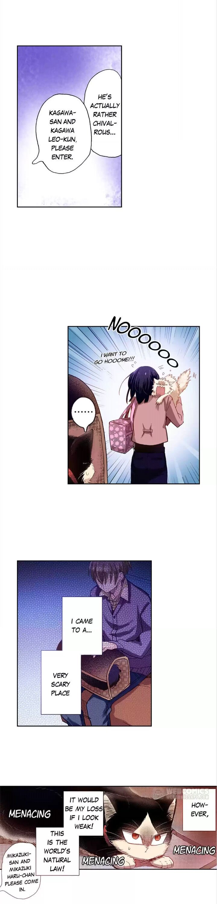 Page 5 of Chapter 22