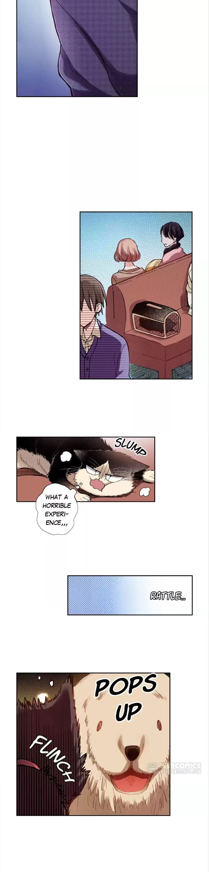 Page 8 of Chapter 22