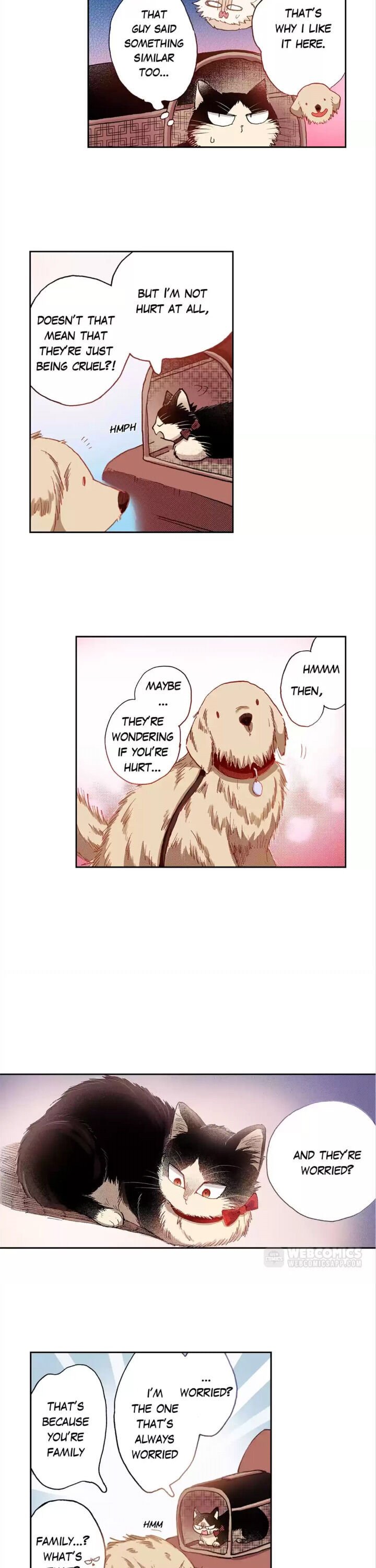 Page 11 of Chapter 22