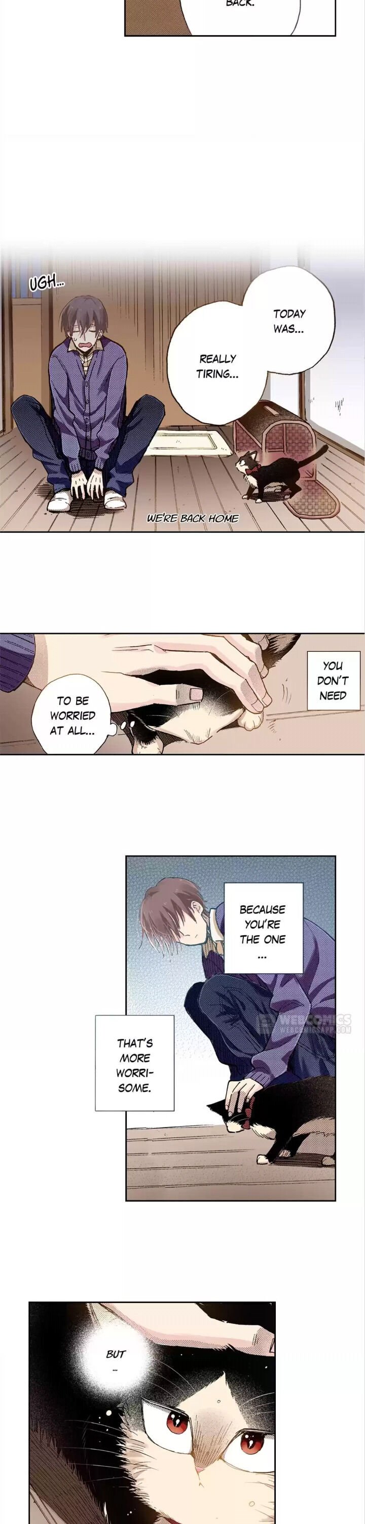 Page 17 of Chapter 22