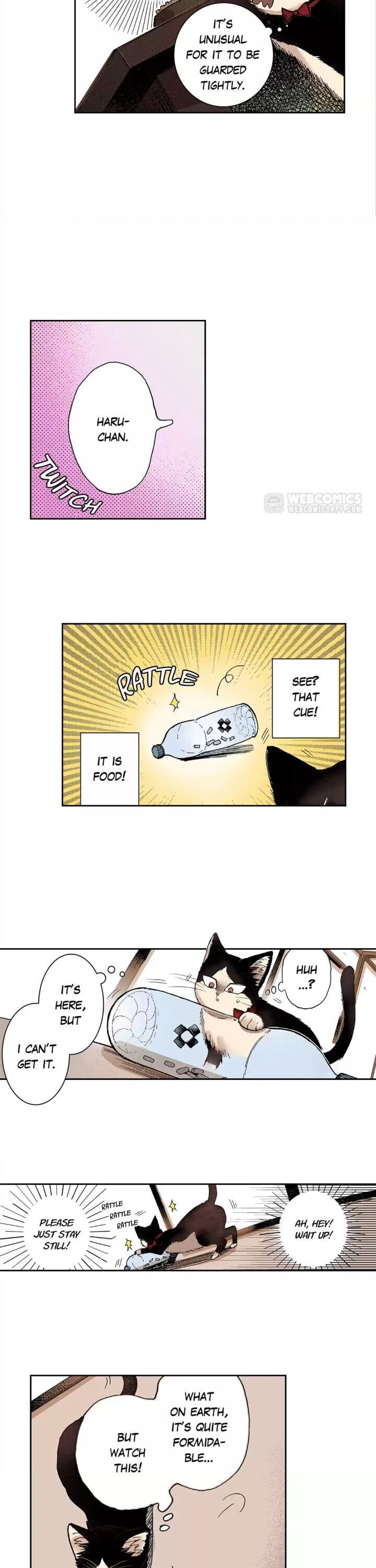 Page 4 of Chapter 25