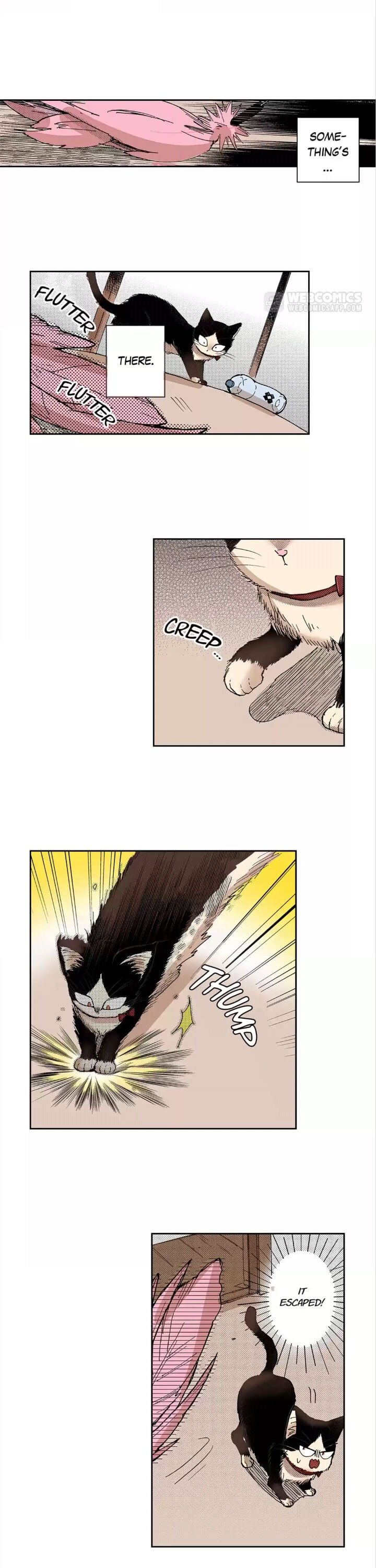 Page 7 of Chapter 25