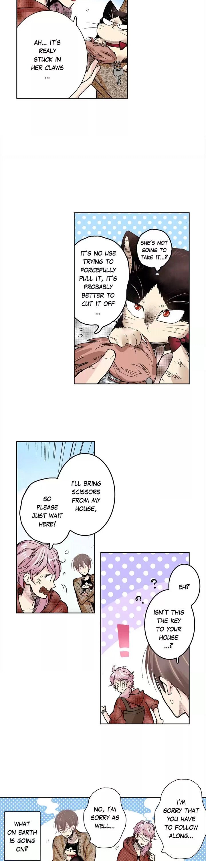 Page 6 of Chapter 26