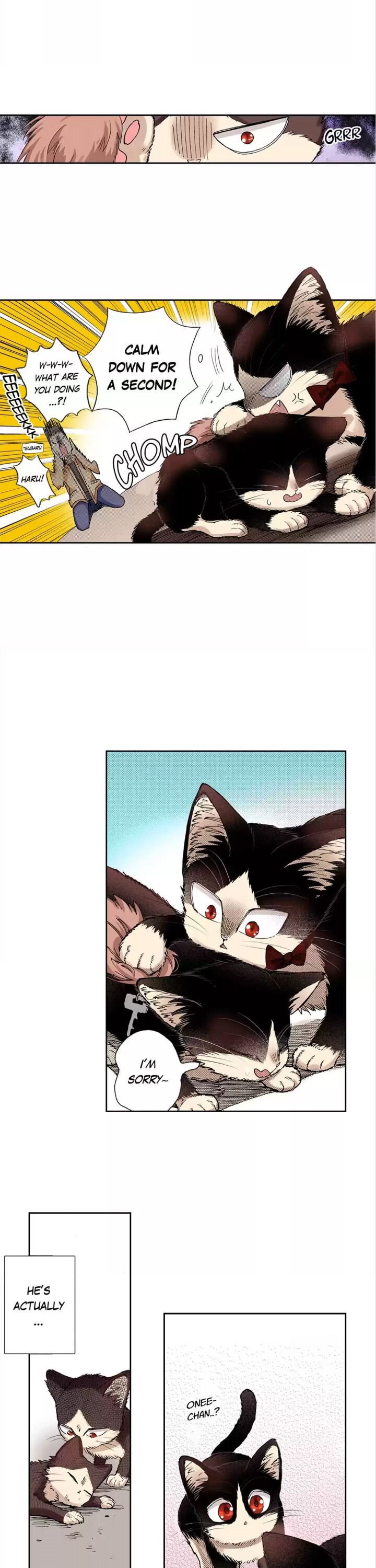 Page 3 of Chapter 28
