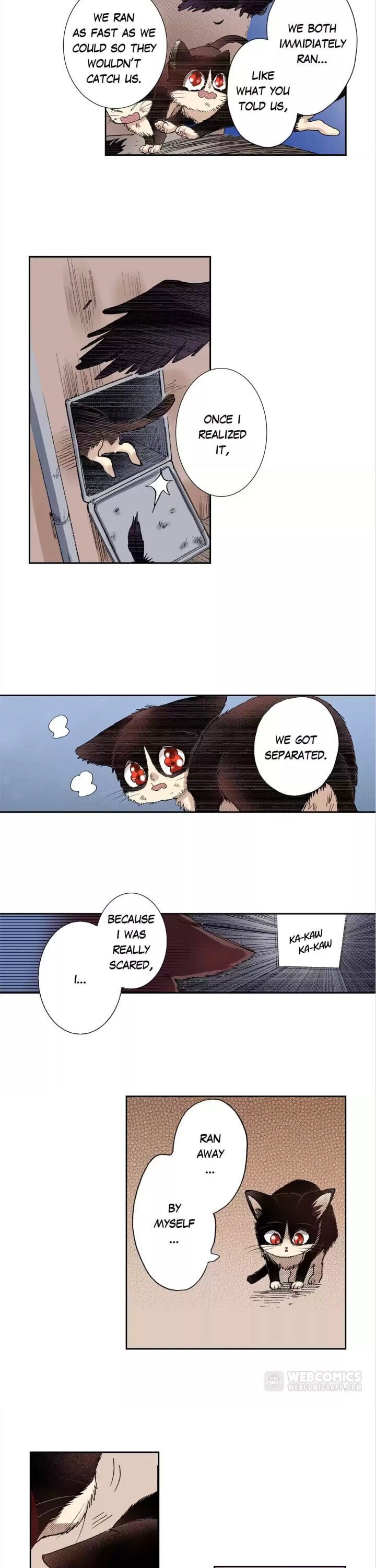 Page 5 of Chapter 28