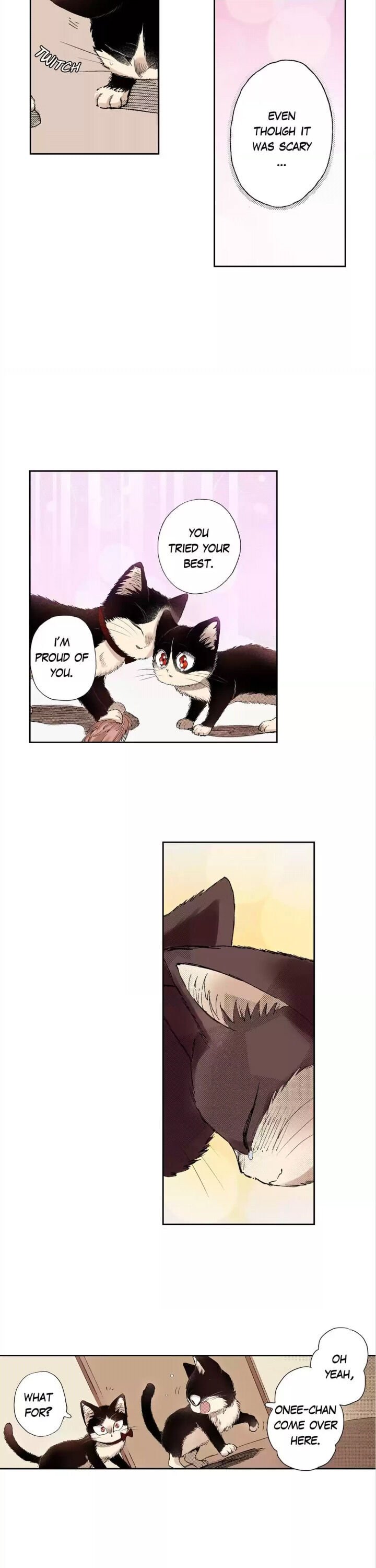 Page 6 of Chapter 28