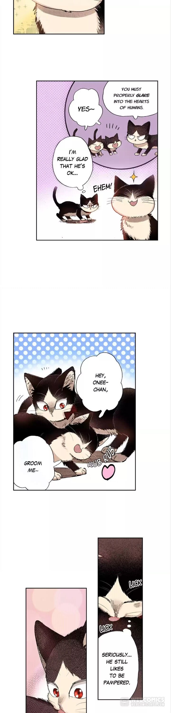 Page 8 of Chapter 28