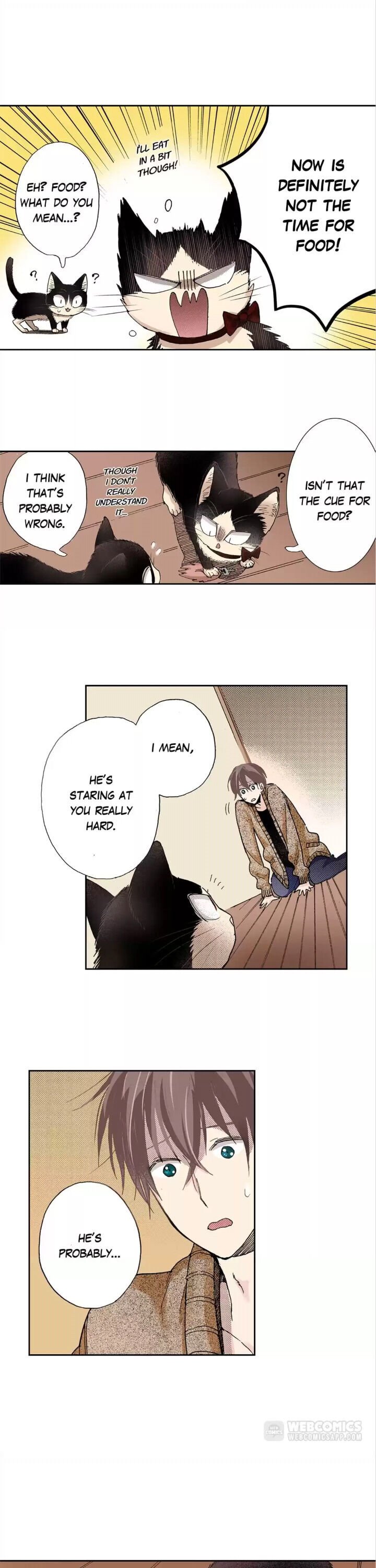 Page 11 of Chapter 28