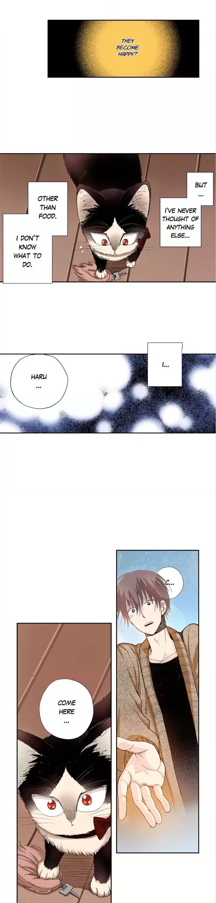 Page 15 of Chapter 28
