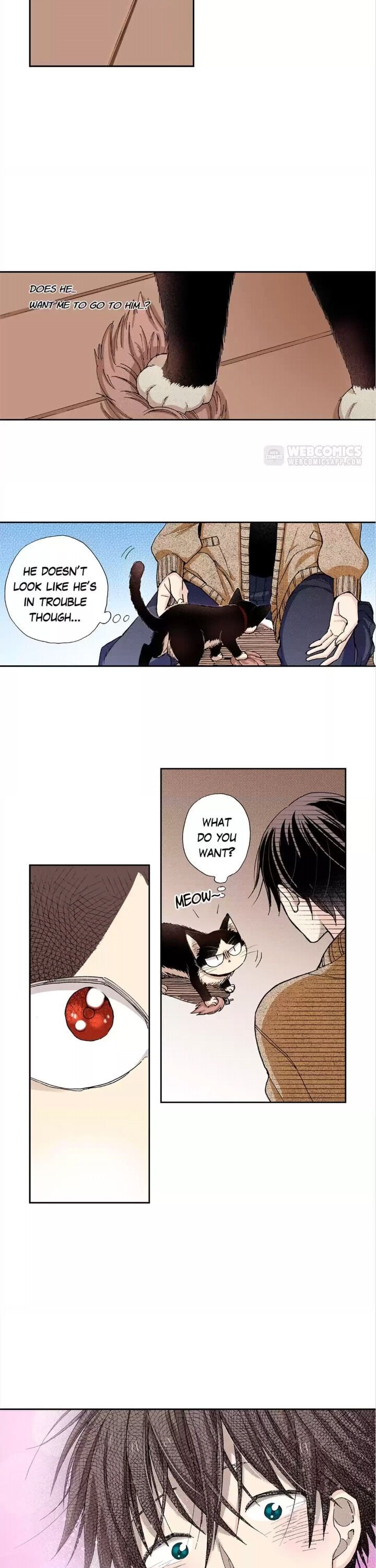 Page 16 of Chapter 28