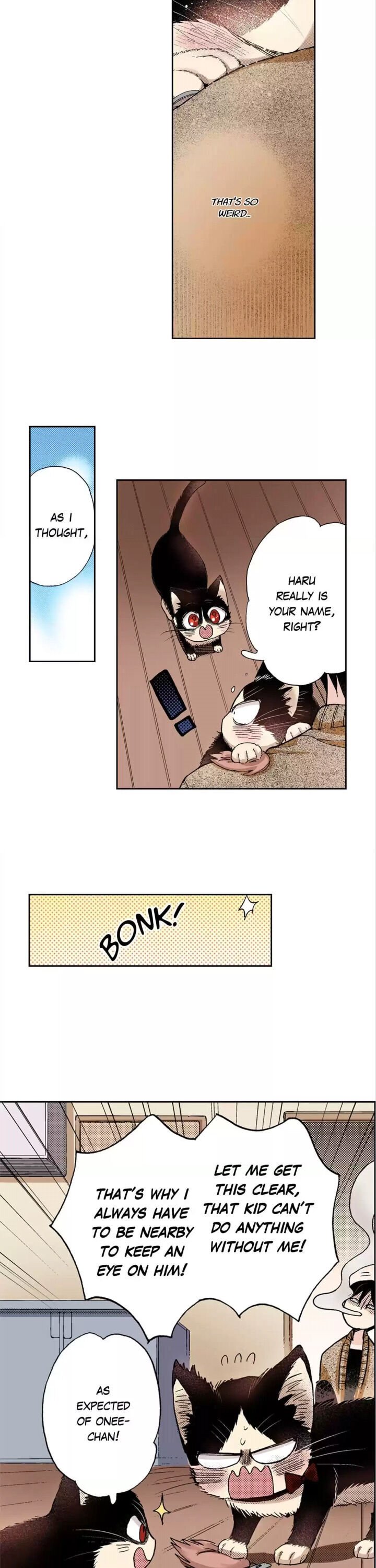 Page 18 of Chapter 28