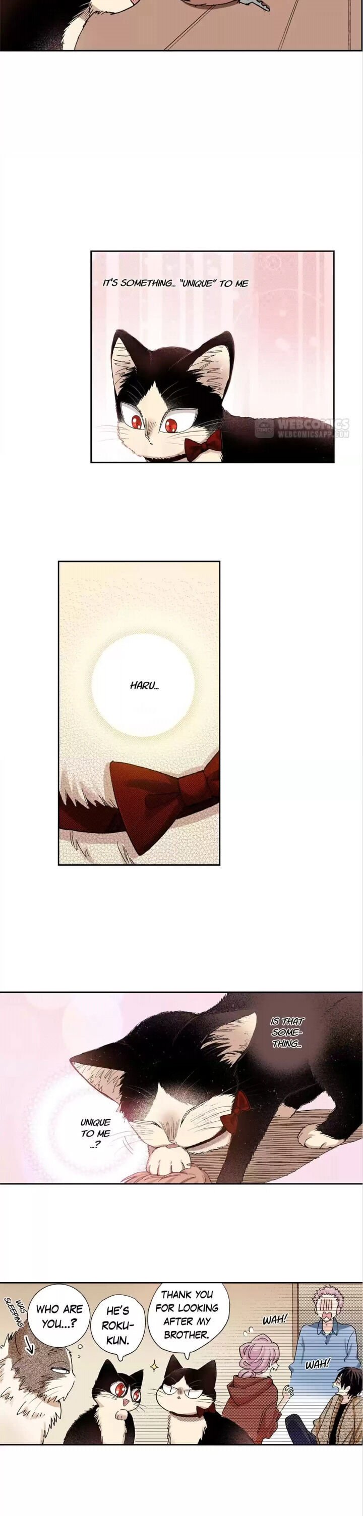 Page 19 of Chapter 28