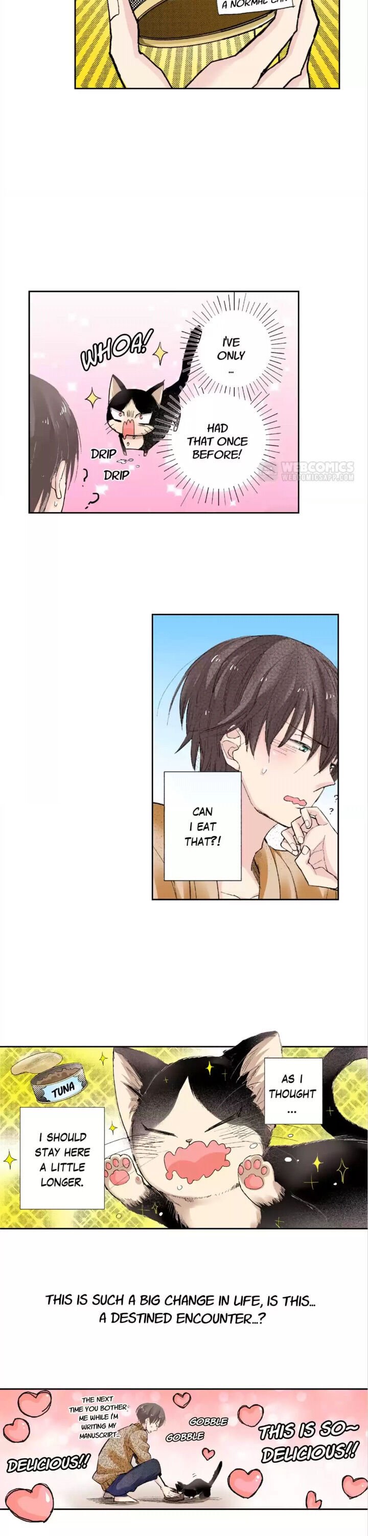 Page 16 of Chapter 3