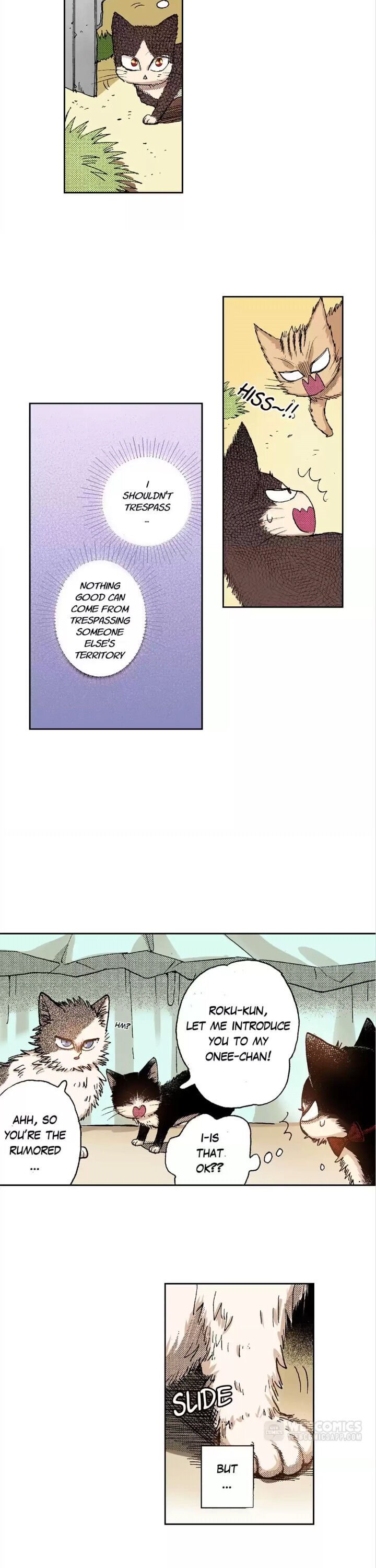 Page 2 of Chapter 31