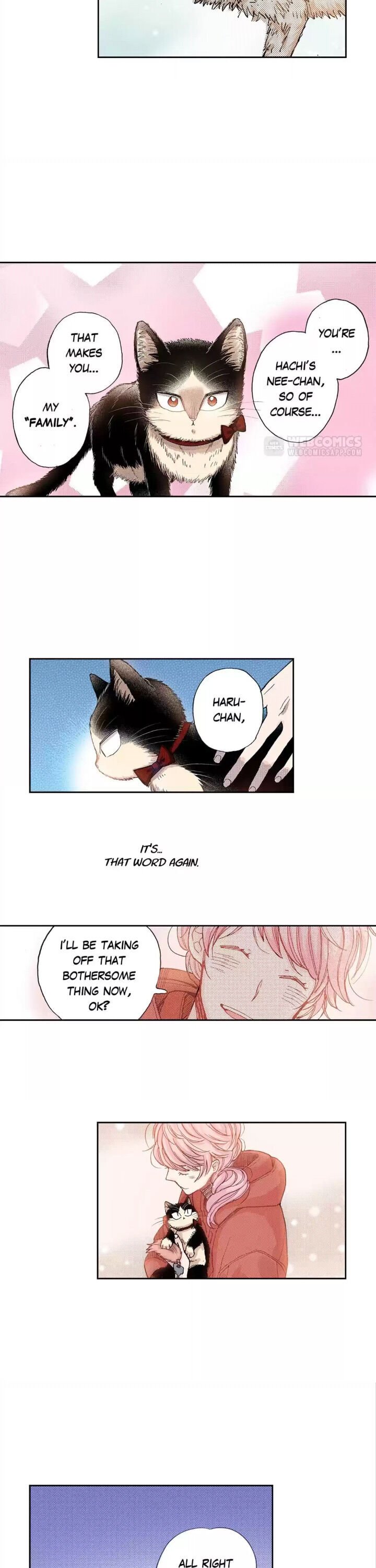 Page 7 of Chapter 31